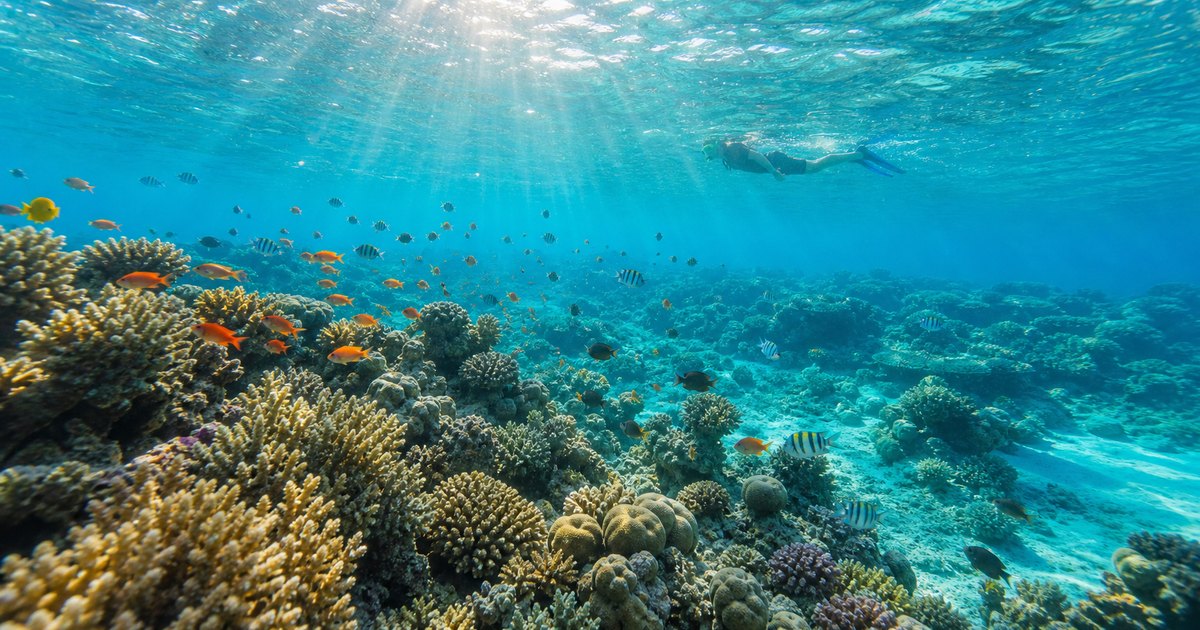 Phu Quoc travel photo for this guide